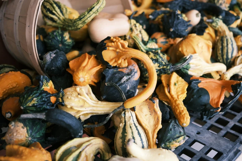 a pile of fake squash and gourds inside a bin