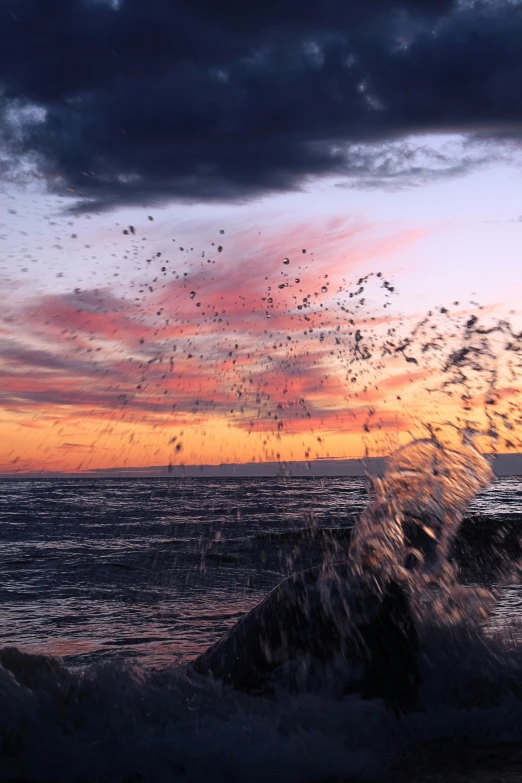 birds in the sunset sky over an ocean