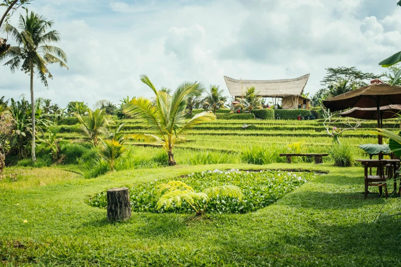 a field with grass and tables set on it