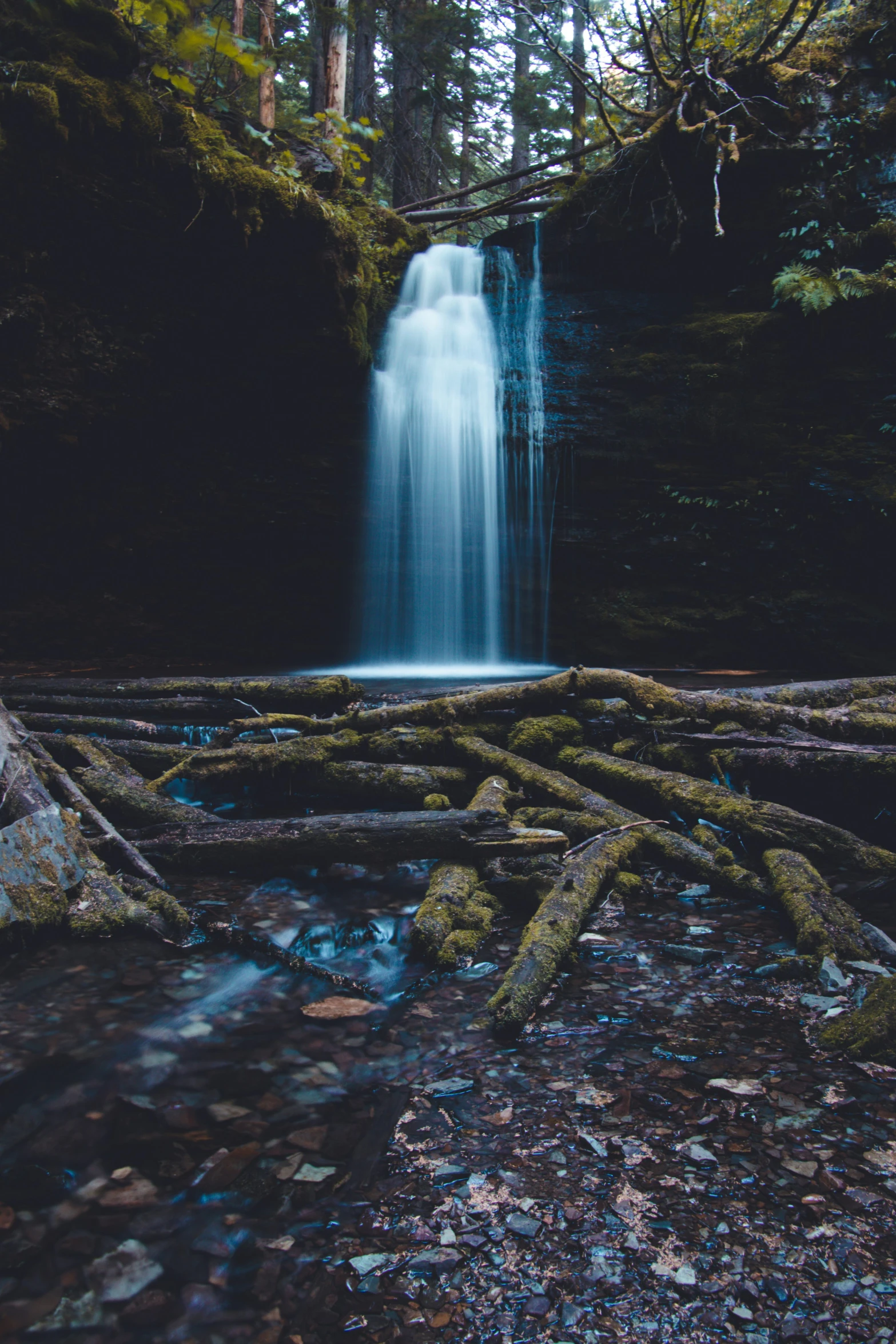 a small waterfall in a forest next to some trees