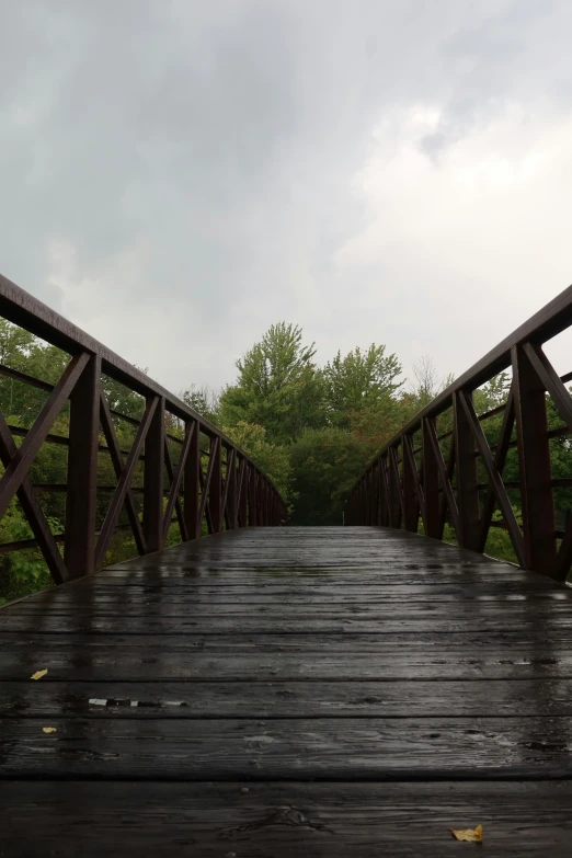 there is a very long bridge that goes across the river