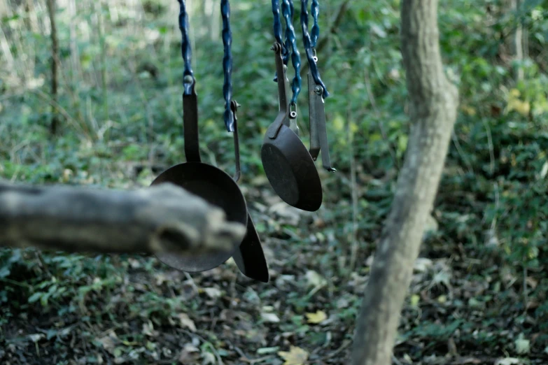 an image of a forest with hanging hats