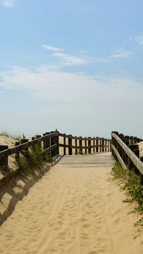 a gate in the sand with some plants growing