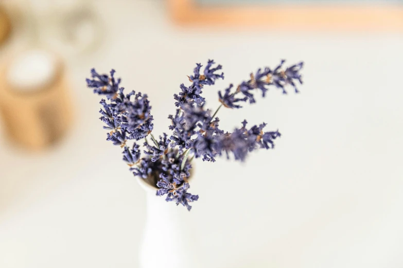 a small flower in a vase with water