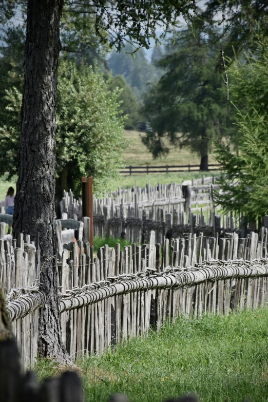 a fence surrounded by trees with a lot of headstones behind it