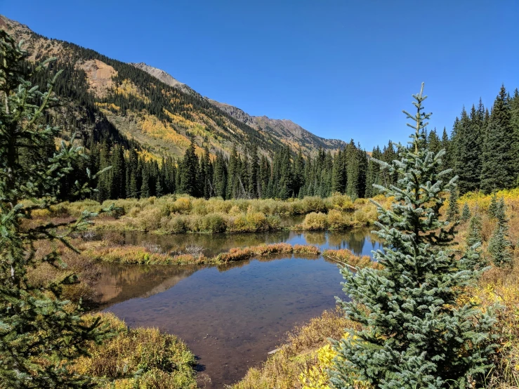 water on the side of a mountain with lots of vegetation