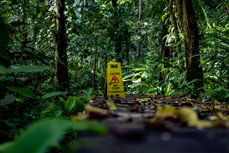 there is a sign near some trees that are growing