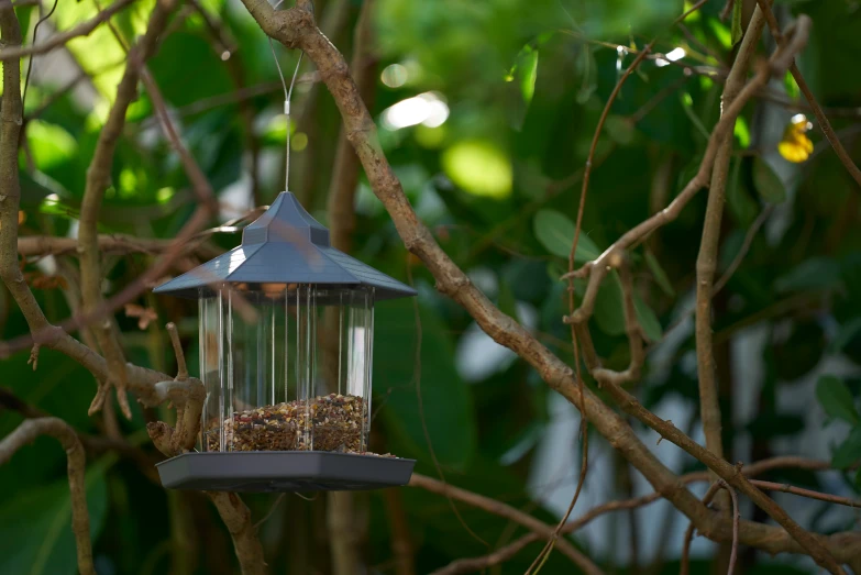 there is a bird feeder hanging from a tree