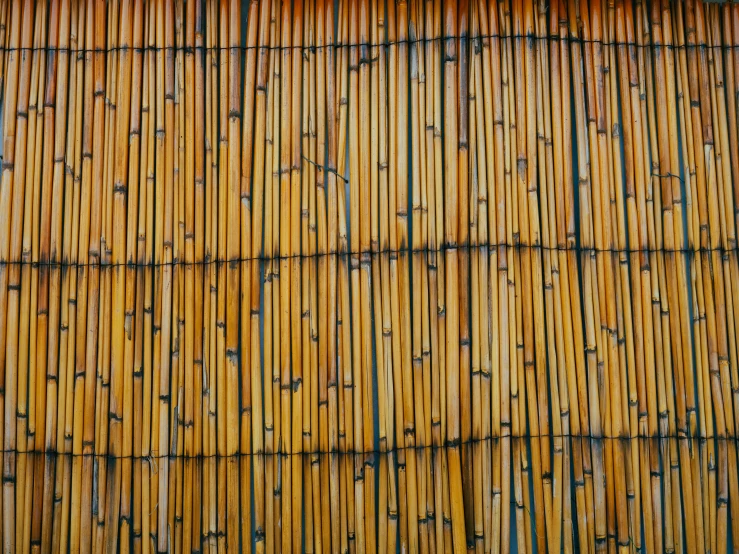 this is the bamboo wall on top of a building