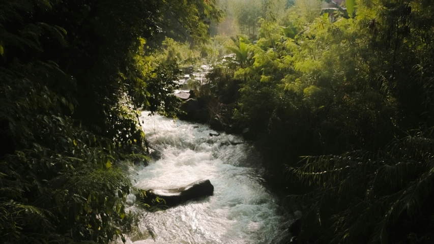 the view looking down on a river flowing through a wooded area