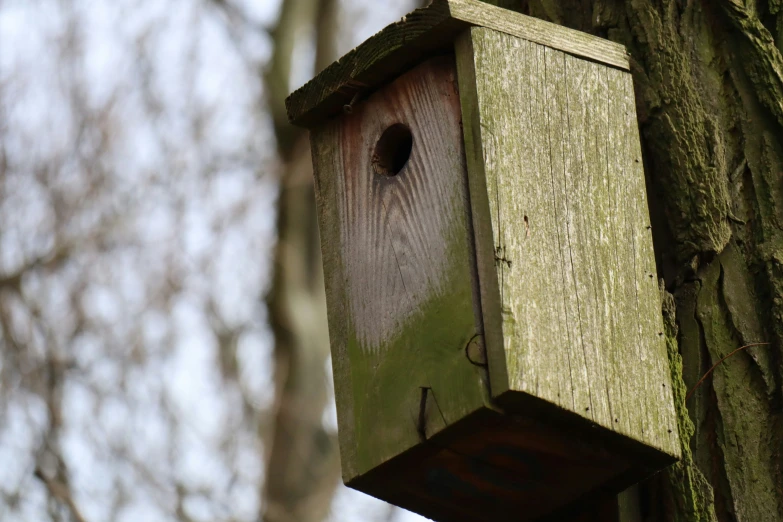 the bird house has holes in it, and is hanging on the tree