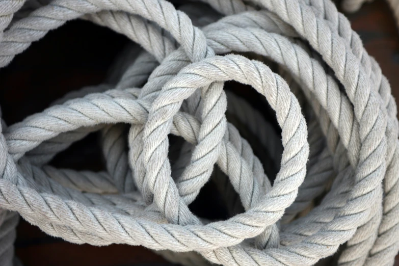 close up s of various white ropes