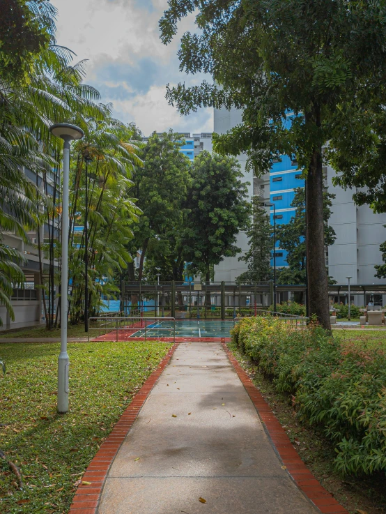 a path in the park with buildings on either side