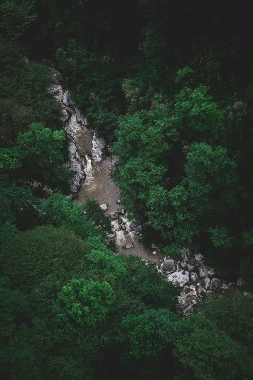 an aerial view of some hills covered in greenery