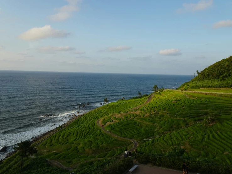 grassy hillside overlooking the ocean and a path