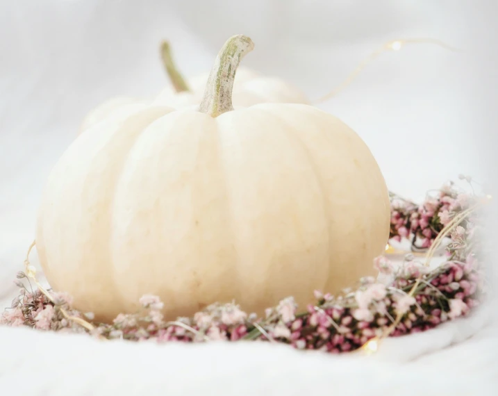 a white pumpkin sitting on top of a bed of dead grass