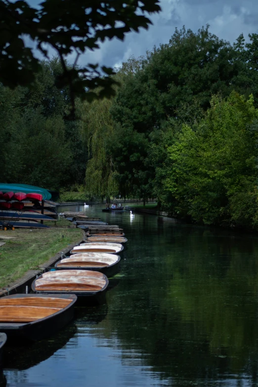 rows of canoes lined up at the edge of a lake