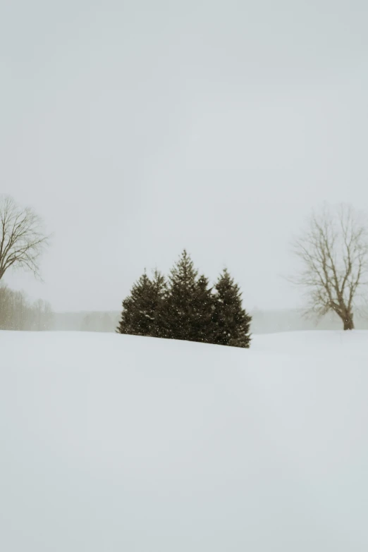 the view of a snowy hill with trees behind it
