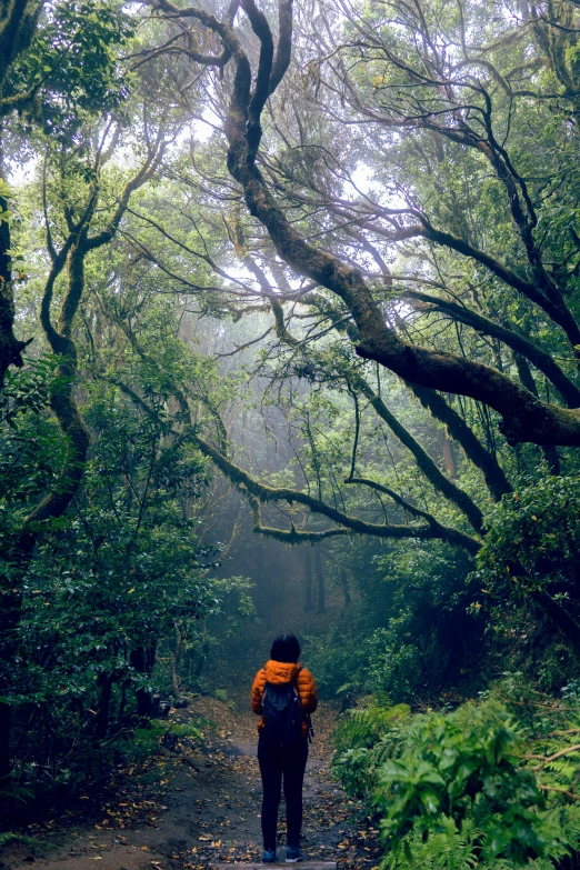 a woman is walking down a leafy trail