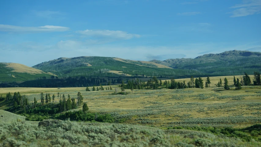 an open field and mountain range in the distance