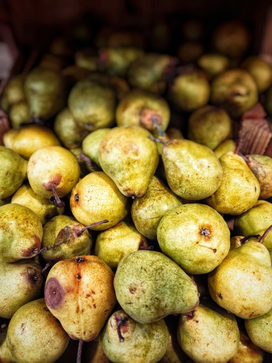 the fruit is shown in a pile with many fruits in it