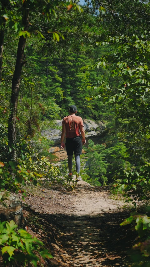 a man walks through the woods and over rocks