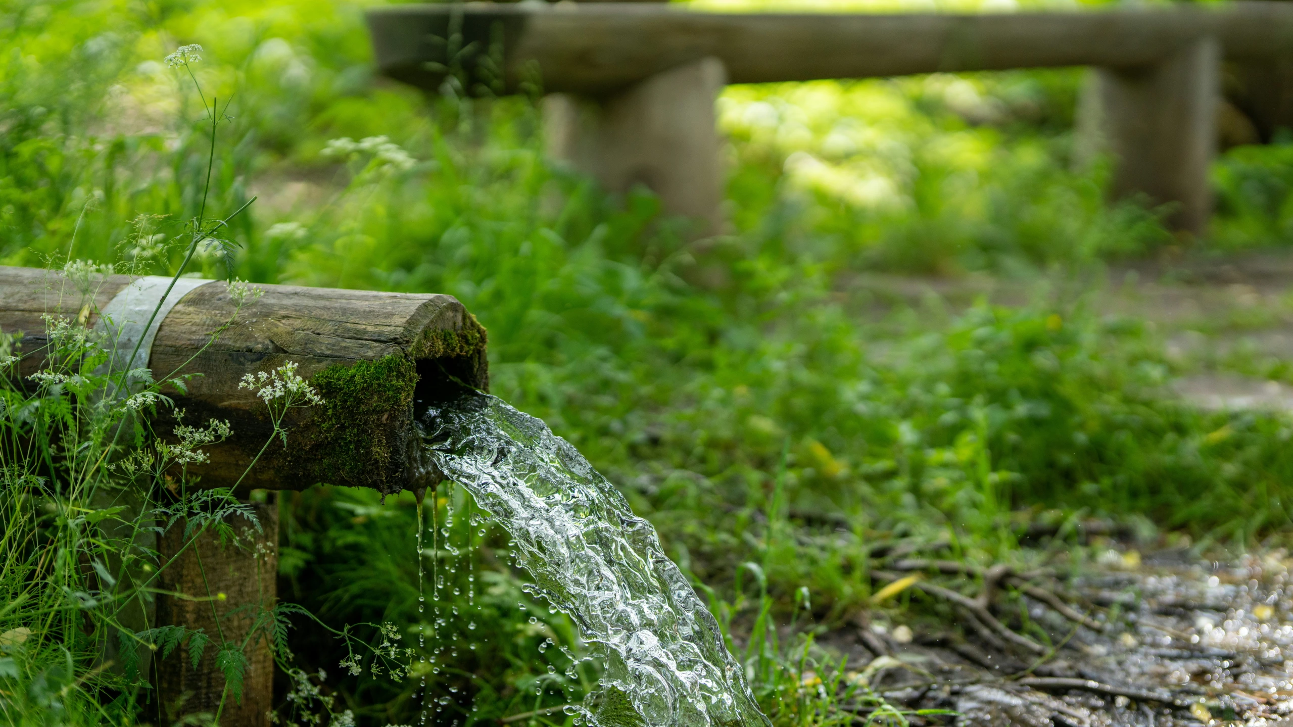 a sprinkle shooting from a well into the ground