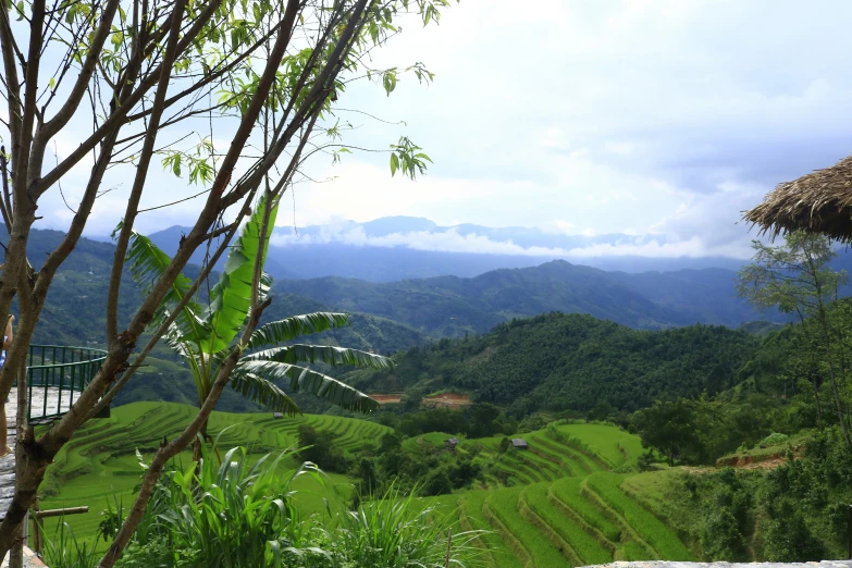 a scenic view of the mountains and trees