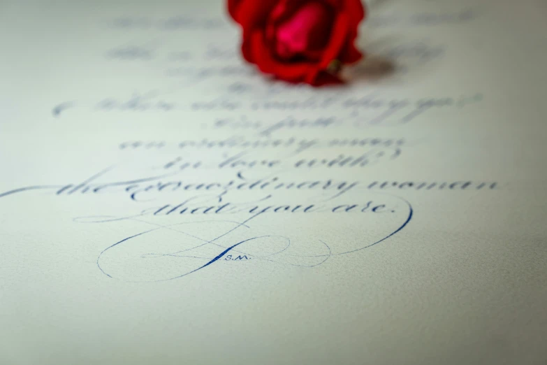 a piece of paper with an empty red rose on it