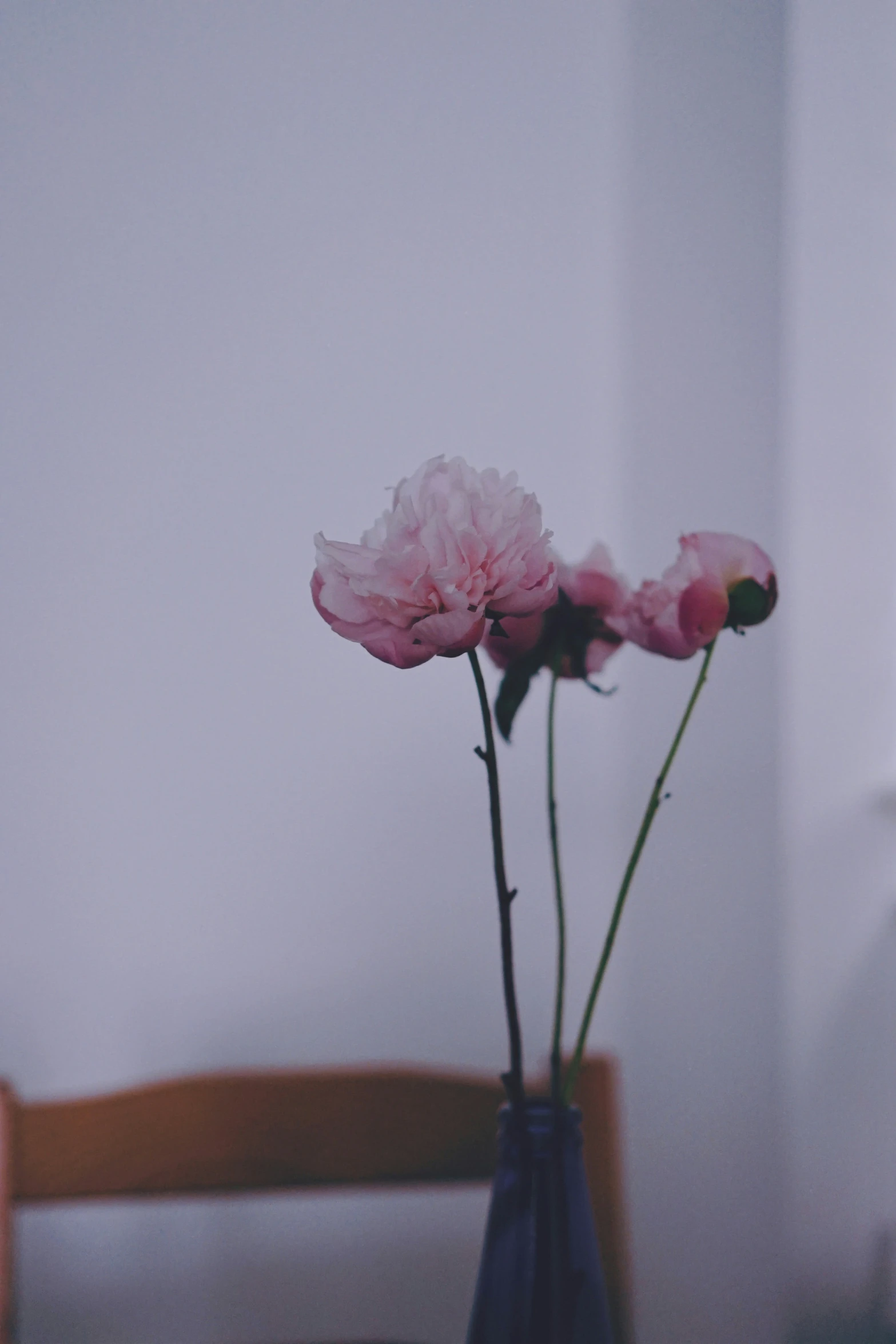 a few flowers are in a vase on a wooden chair