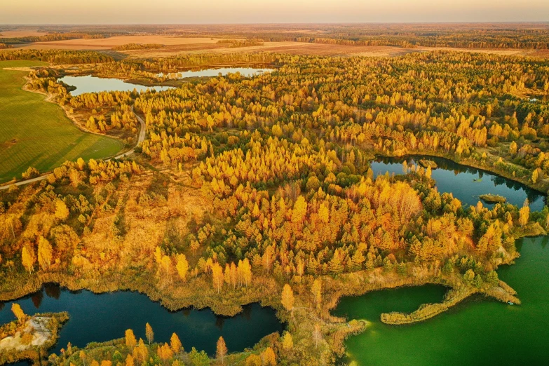 a number of large water lakes surrounded by forest