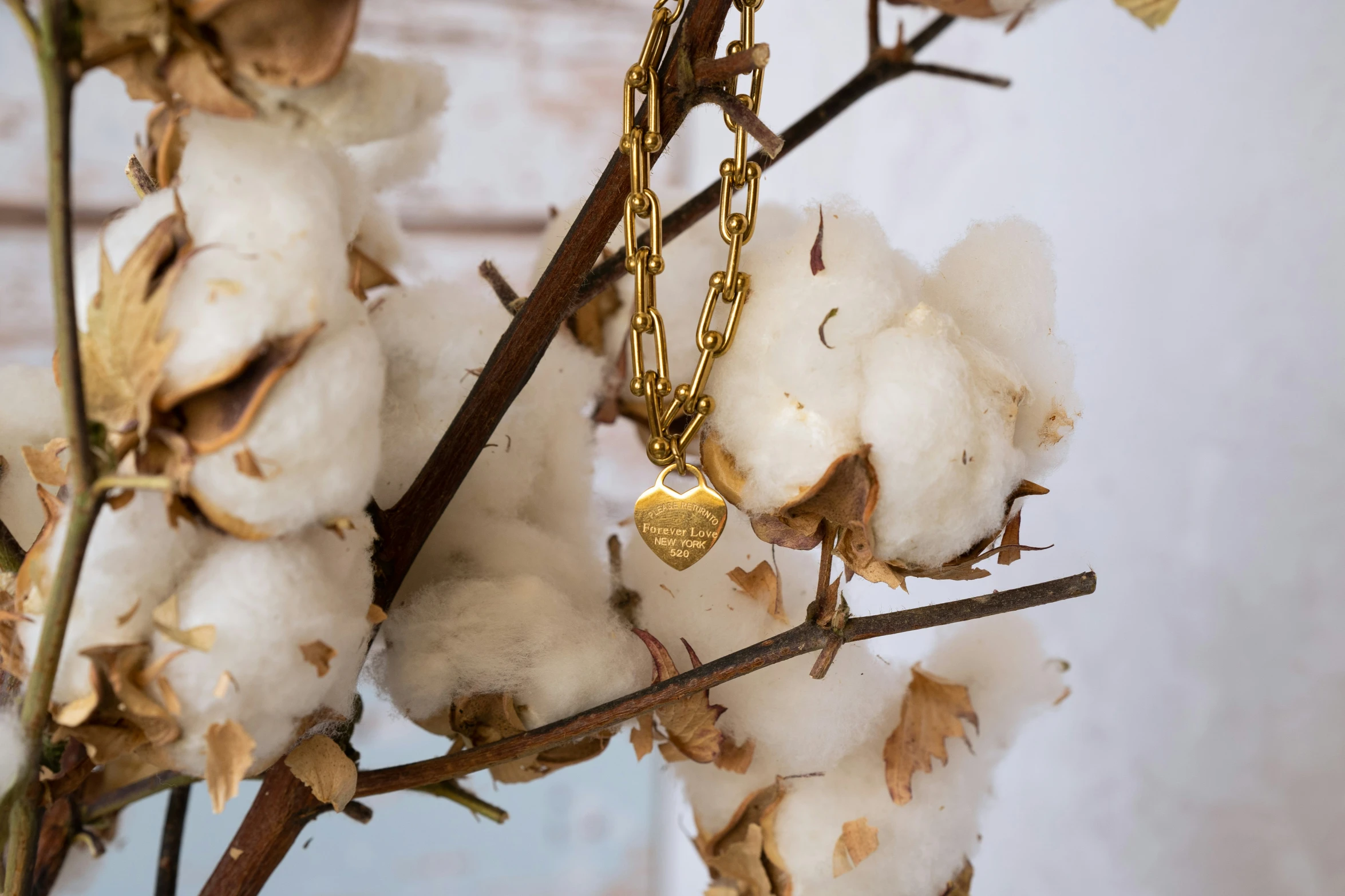 a gold chain on a cotton plant with a heart charm