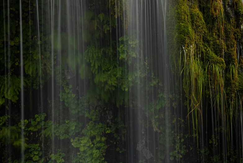 a tall waterfall with green vegetation around it