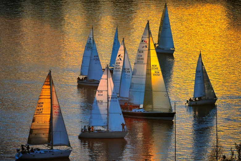 several sailboats floating on the water during sunset