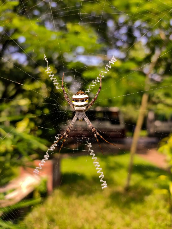 a close up of a spider in its web on the outside