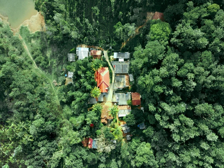 the aerial view of a house in the woods