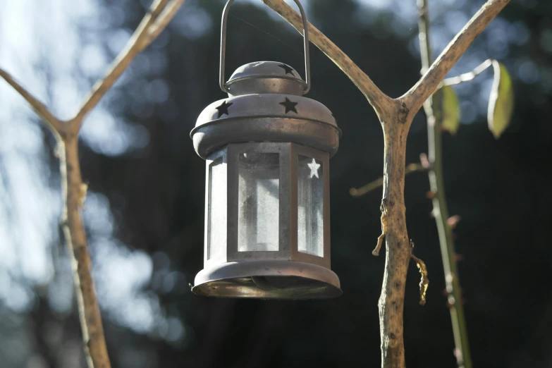 a lantern is attached to the tree and lights it