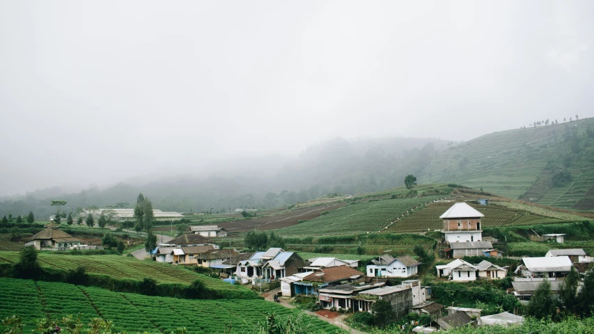 a village on a hillside near a field