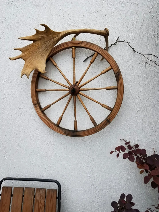 the oak and ratchet wheel on the wall