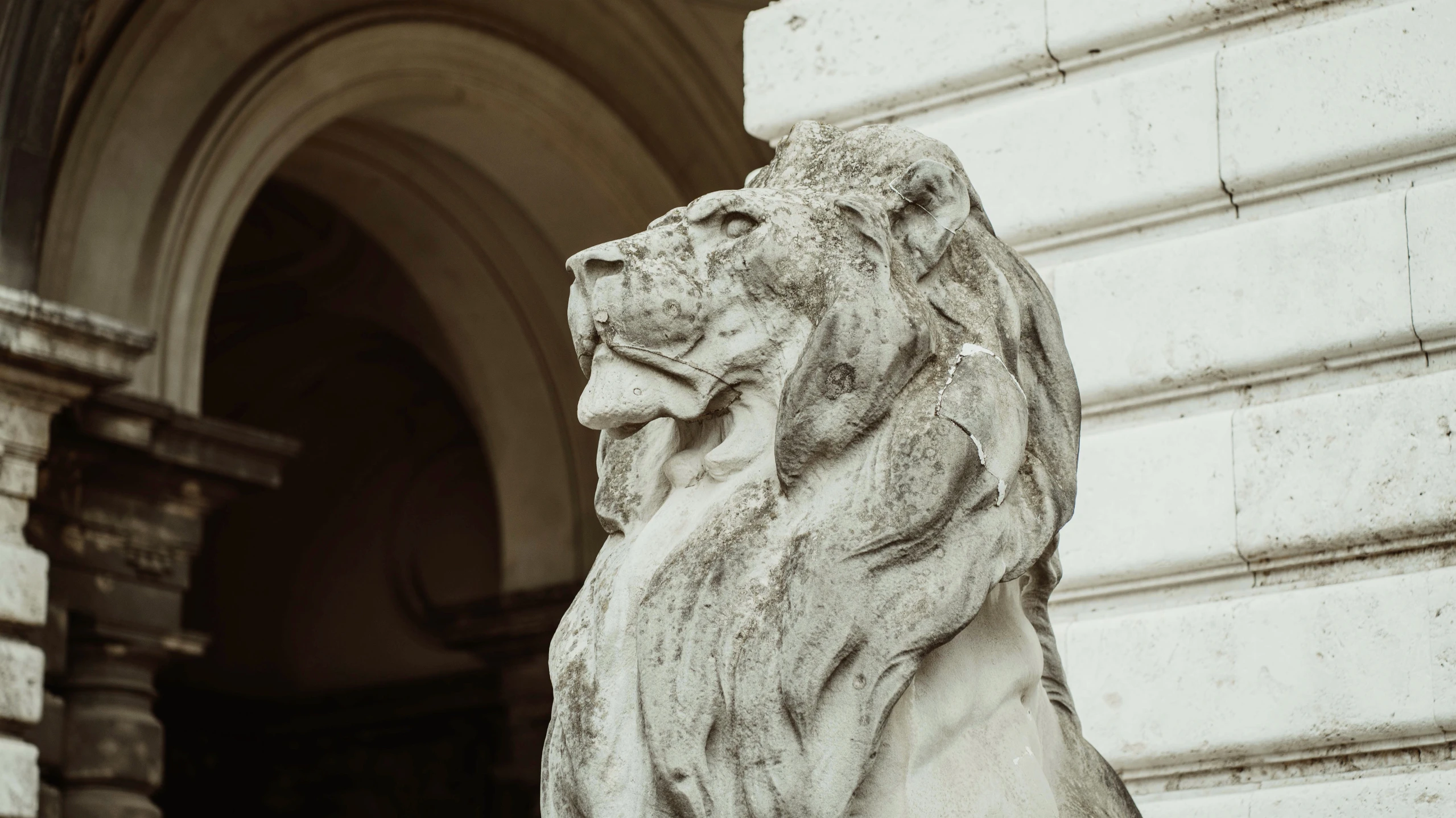 a close up of a statue of a lion in front of an archway