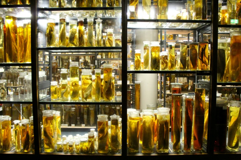 several rows of shelves with various varieties of beer in them