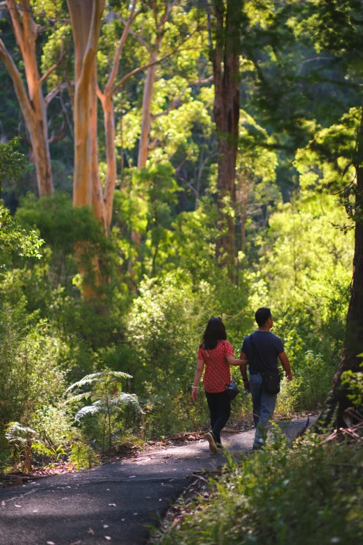 people are walking down the trail in the woods