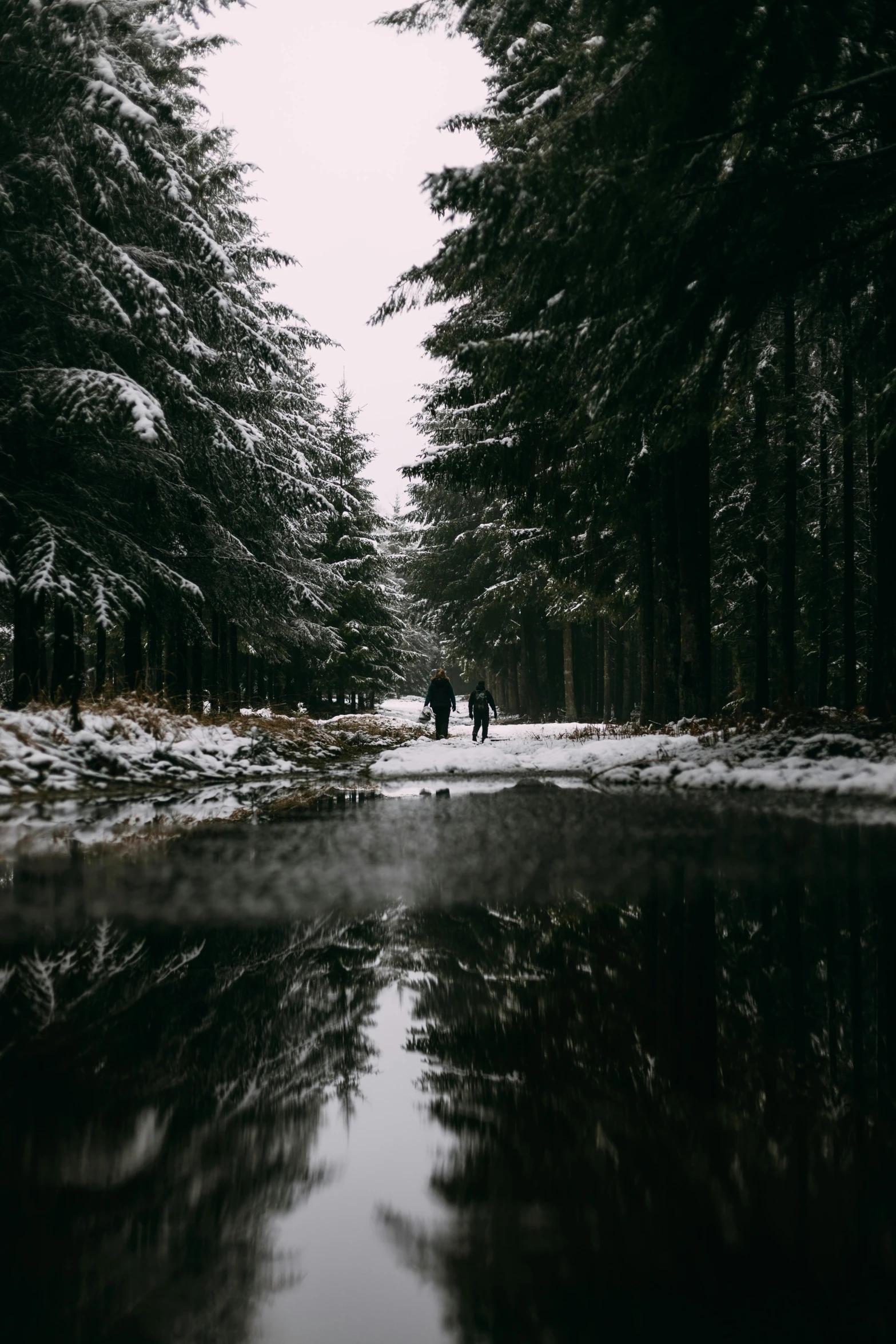 a group of people walking down a path in the snow