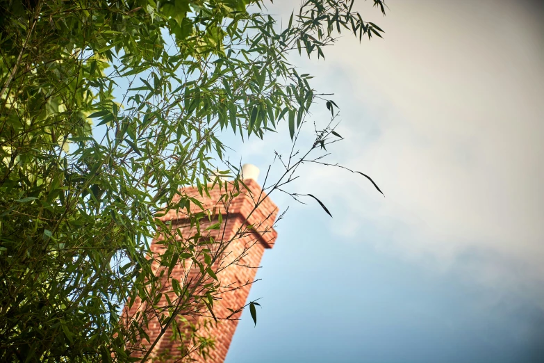 the view of a clock tower with nches against a blue sky