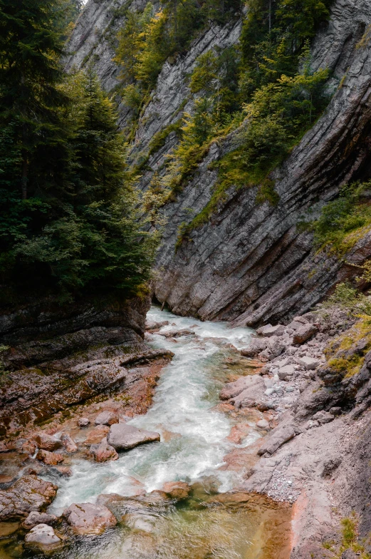 a stream runs through a rocky canyon