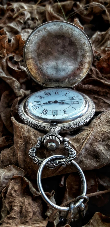 there is an antique pocket watch on the leaves