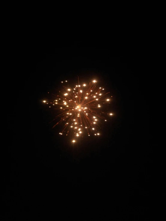 fireworks exploding and shining in the dark sky