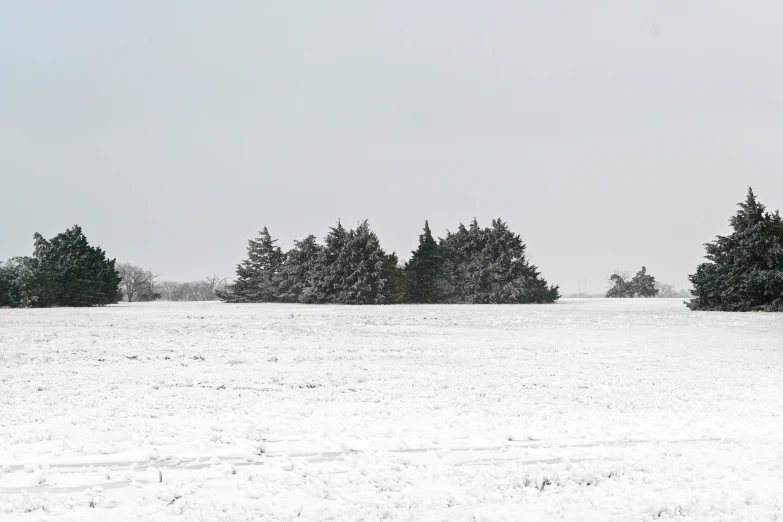 snow covers trees in the foreground and snowy ground