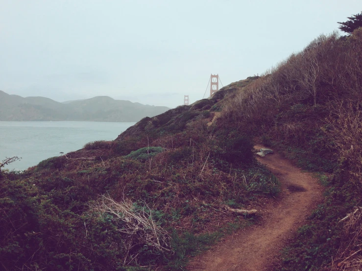 a hiking trail leading up the side of a mountain