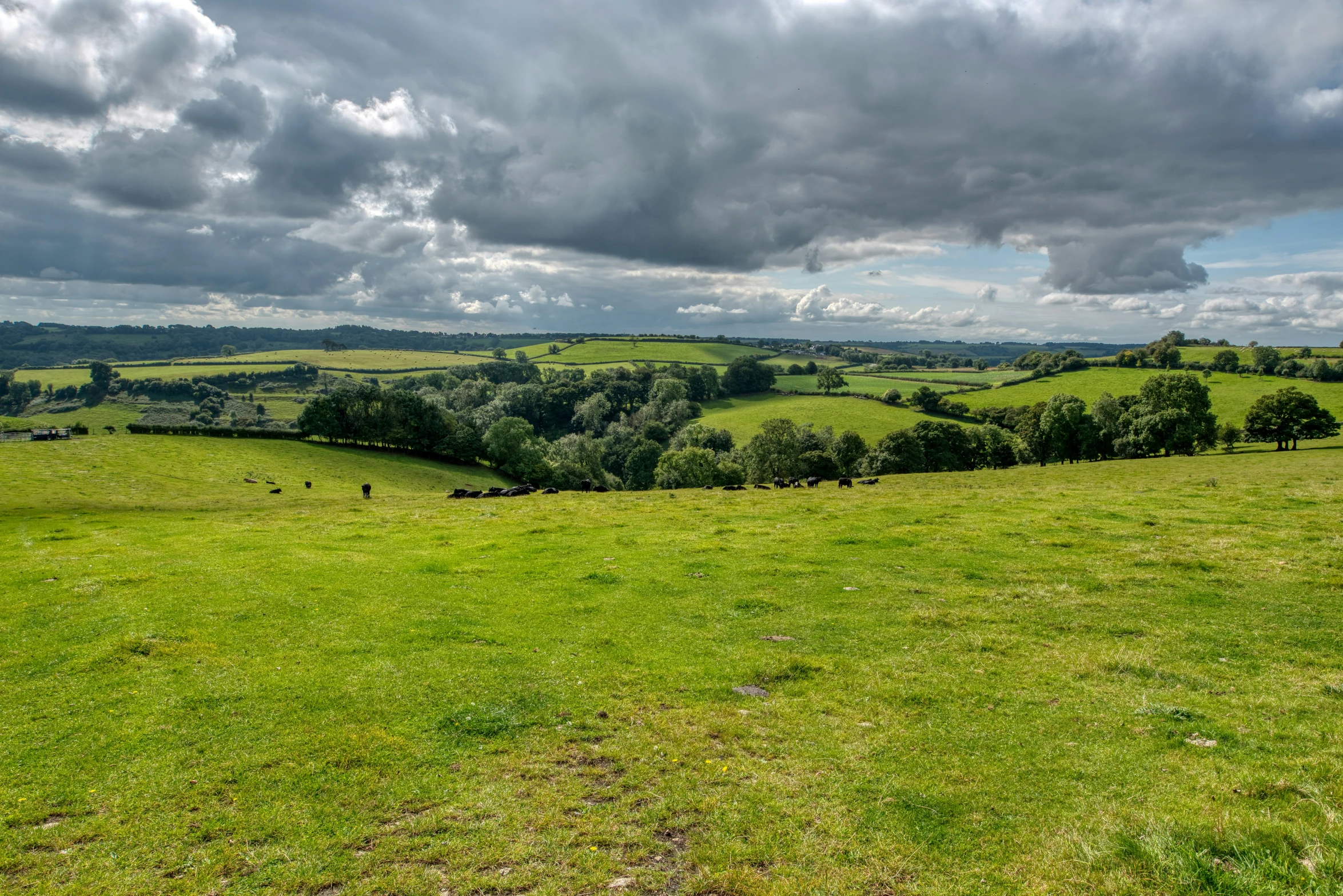 view of rolling hills from grassy meadow on cloudy day